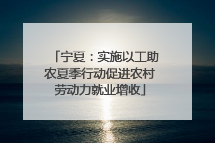 宁夏：实施以工助农夏季行动促进农村劳动力就业增收