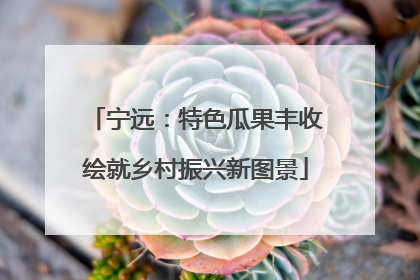 宁远：特色瓜果丰收绘就乡村振兴新图景