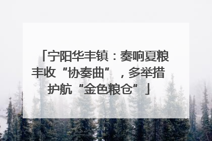 宁阳华丰镇：奏响夏粮丰收“协奏曲”，多举措护航“金色粮仓”