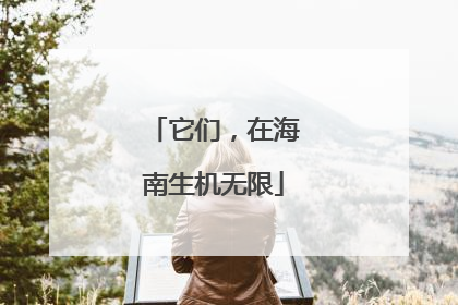 它们，在海南生机无限