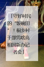 守好村民的“饭碗田”！桐乡村干部凭啥亮相国新办记者会
