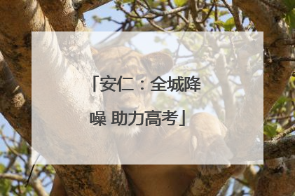 安仁：全城降噪 助力高考