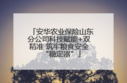 安华农业保险山东分公司科技赋能+双精准 筑牢粮食安全“稳定器”