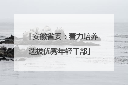 安徽省委：着力培养选拔优秀年轻干部