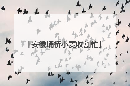 安徽埇桥小麦收割忙
