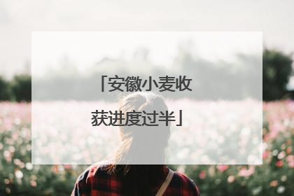 安徽小麦收获进度过半