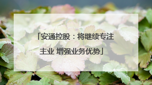 安通控股：将继续专注主业 增强业务优势