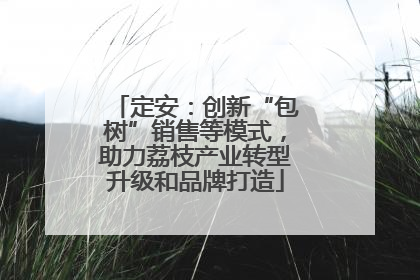 定安：创新“包树”销售等模式，助力荔枝产业转型升级和品牌打造