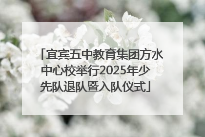 宜宾五中教育集团方水中心校举行2025年少先队退队暨入队仪式
