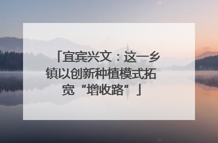 宜宾兴文：这一乡镇以创新种植模式拓宽“增收路”