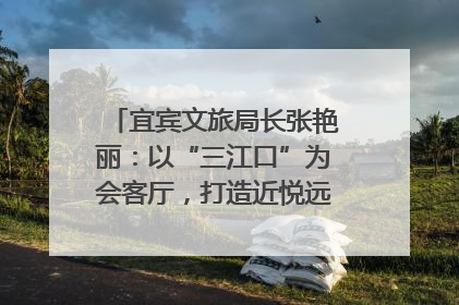 宜宾文旅局长张艳丽：以“三江口”为会客厅，打造近悦远来的国际旅游城市｜文旅局长说