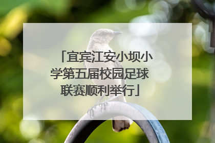 宜宾江安小坝小学第五届校园足球联赛顺利举行