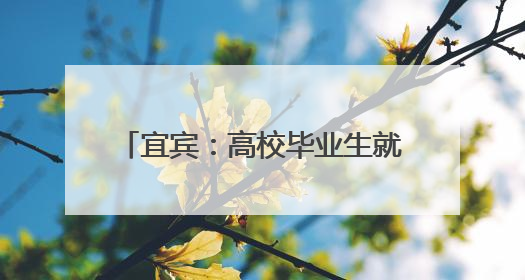 宜宾：高校毕业生就业去向落实率连续三年居全省第一梯队