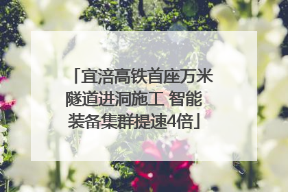 宜涪高铁首座万米隧道进洞施工 智能装备集群提速4倍