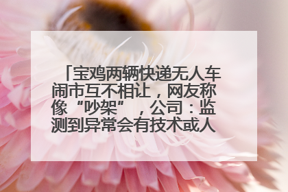 宝鸡两辆快递无人车闹市互不相让，网友称像“吵架”，公司：监测到异常会有技术或人为干预处置