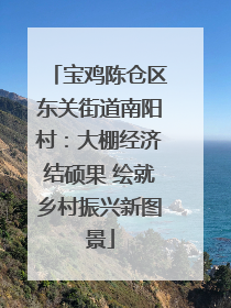 宝鸡陈仓区东关街道南阳村：大棚经济结硕果 绘就乡村振兴新图景