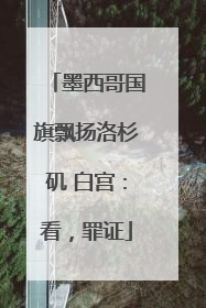 墨西哥国旗飘扬洛杉矶 白宫：看，罪证