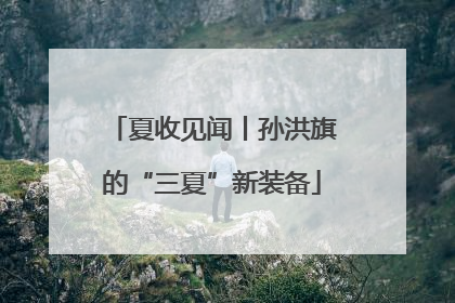 夏收见闻丨孙洪旗的“三夏”新装备