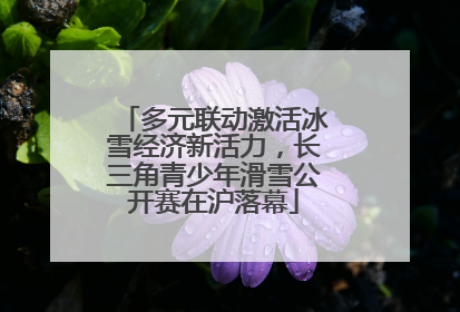 多元联动激活冰雪经济新活力，长三角青少年滑雪公开赛在沪落幕