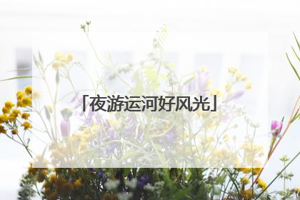 夜游运河好风光