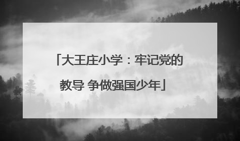 大王庄小学：牢记党的教导 争做强国少年