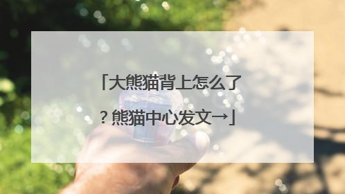 大熊猫背上怎么了？熊猫中心发文→