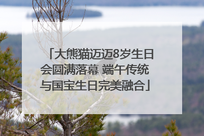 大熊猫迈迈8岁生日会圆满落幕 端午传统与国宝生日完美融合