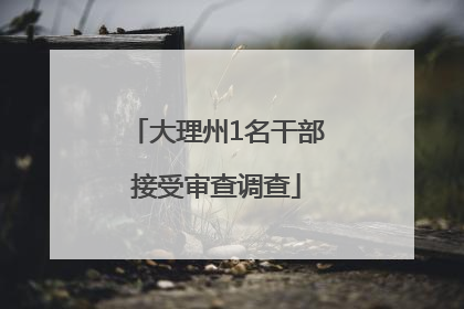 大理州1名干部接受审查调查