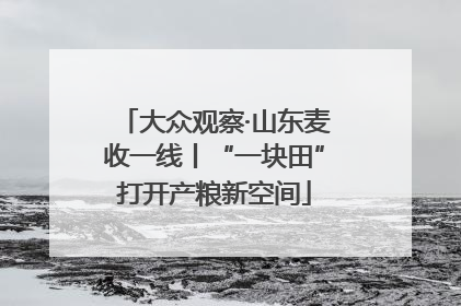 大众观察·山东麦收一线丨“一块田”打开产粮新空间