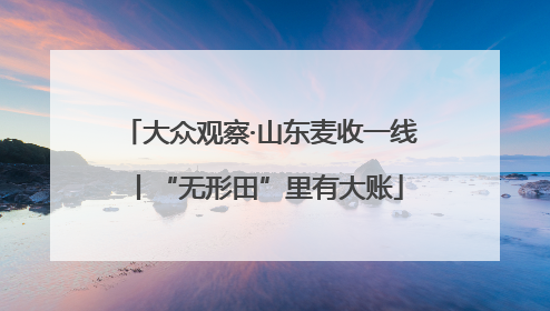 大众观察·山东麦收一线丨“无形田”里有大账