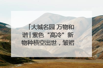 大城名园 万物和谐│紫色“高冷”新物种横空出世，皱褶叶片暗藏进化密码