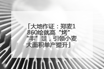 大地作证：郑麦1860绘就高“烤”“丰”景，引领小麦大面积单产提升
