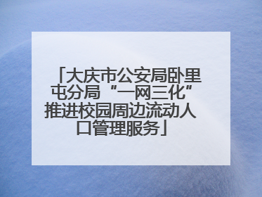 大庆市公安局卧里屯分局“一网三化”推进校园周边流动人口管理服务