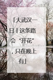 大武汉一日丨这条路会“开花”，只在晚上有