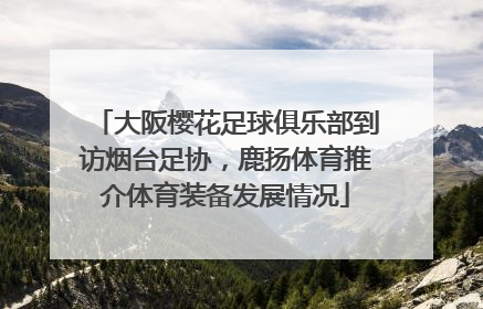 大阪樱花足球俱乐部到访烟台足协，鹿扬体育推介体育装备发展情况