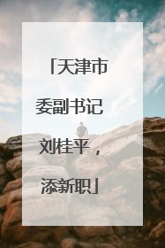 天津市委副书记刘桂平，添新职