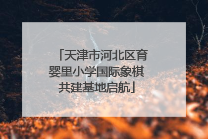 天津市河北区育婴里小学国际象棋共建基地启航