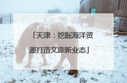 天津：挖掘海洋资源打造文旅新业态