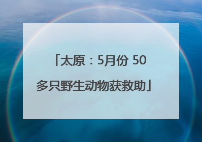 太原：5月份 50多只野生动物获救助