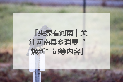 央媒看河南｜关注河南县乡消费“焕新”记等内容