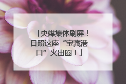 央媒集体刷屏！日照这座“宝藏港口”火出圈！