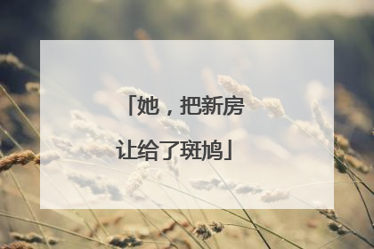她，把新房让给了斑鸠