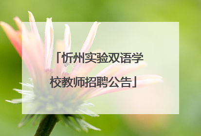 忻州实验双语学校教师招聘公告