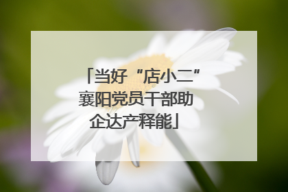 当好“店小二” 襄阳党员干部助企达产释能