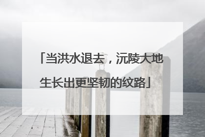 当洪水退去，沅陵大地生长出更坚韧的纹路