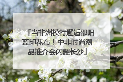当非洲模特邂逅邵阳蓝印花布！中非时尚潮品推介会闪耀长沙