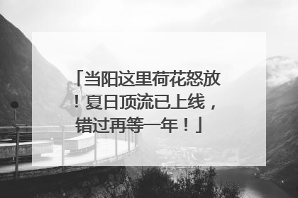 当阳这里荷花怒放！夏日顶流已上线，错过再等一年！