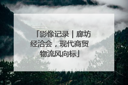 影像记录｜廊坊经洽会，现代商贸物流风向标