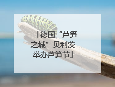 德国“芦笋之城”贝利茨举办芦笋节