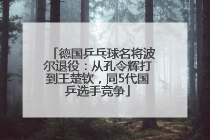 德国乒乓球名将波尔退役：从孔令辉打到王楚钦，同5代国乒选手竞争